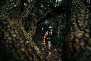 BIB: 
                            <button type="button" onclick="openModal(25675107)" class="btn btn-primary btn-sm float-right btn-popup" data-toggle="modal" data-target=".modal-high-quality">
                        <i class="fas fa-shopping-cart"></i> Add to Cart
                    </button>
                                            <button type="button" onclick="isThisMe(25675107, true)" class="btn btn-success btn-sm float-right btn-popup btn-isme hidden" data-toggle="tooltip" data-placement="bottom" title="นี่คือรูปของคุณใช่ไหม คลิกที่นี่เพื่อเอาเข้าอัลบั้ม">
                        <i class="fas fa-plus"></i> Add to album
                    </button>
                    <button type="button" onclick="isThisMe(25675107, false)" class="btn btn-warning btn-sm float-right btn-popup btn-isnotme hidden">
                        <i class="fas fa-ban"></i> Remove from album
                    </button>